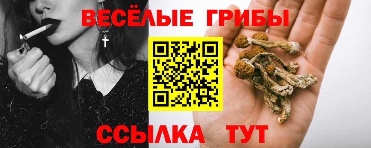 купить  сайты  Вход с VPN  Кунгур  Псилоцибиновые грибы ЛСД  Галлюциногенные грибы Cubensis 